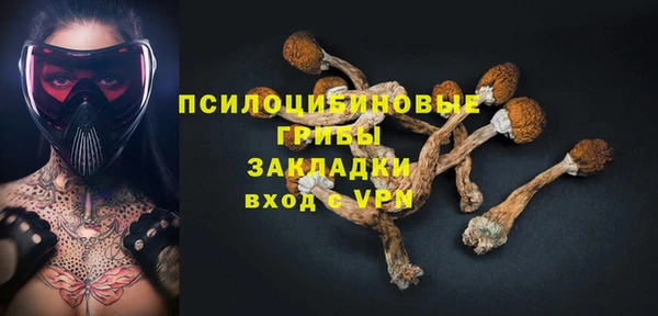 гидропоника Вяземский