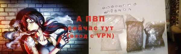 амф Вязьма
