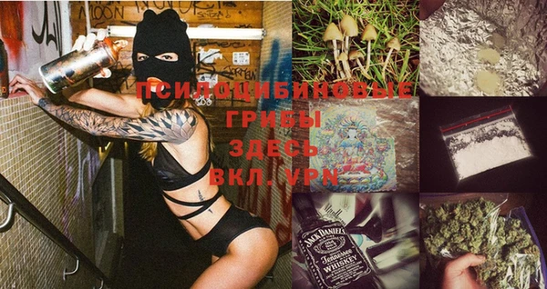 амф Вязьма