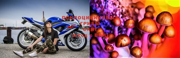 амф Вязьма