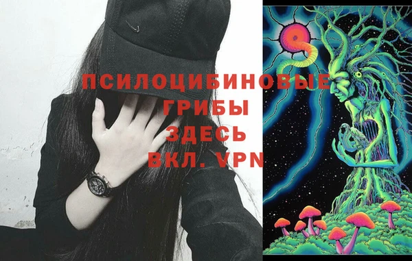 трава Вязники