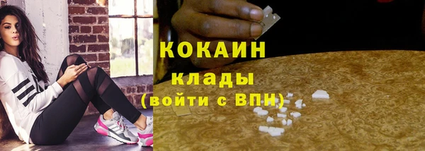 гидропоника Вяземский