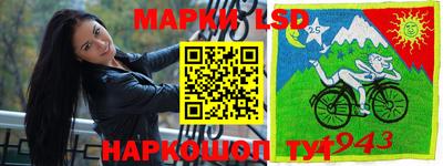 МДПВ Беслан