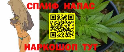 твердый Бийск