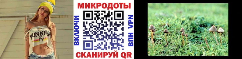 Псилоцибиновые грибы прущие грибы даркнет сайт Гурьевск